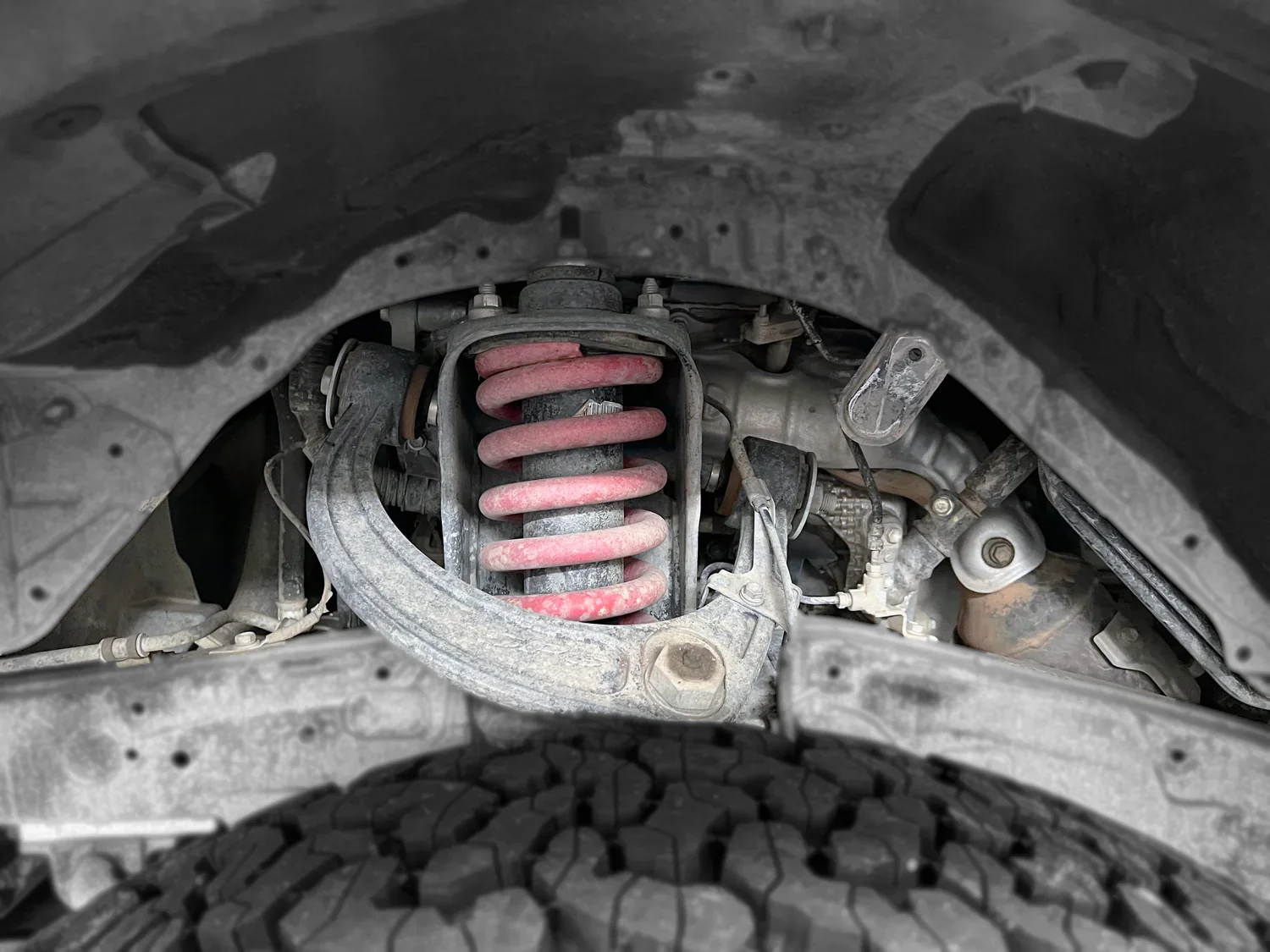 Ark Splash Guards for 4Runner (1996-2024) - Image 3