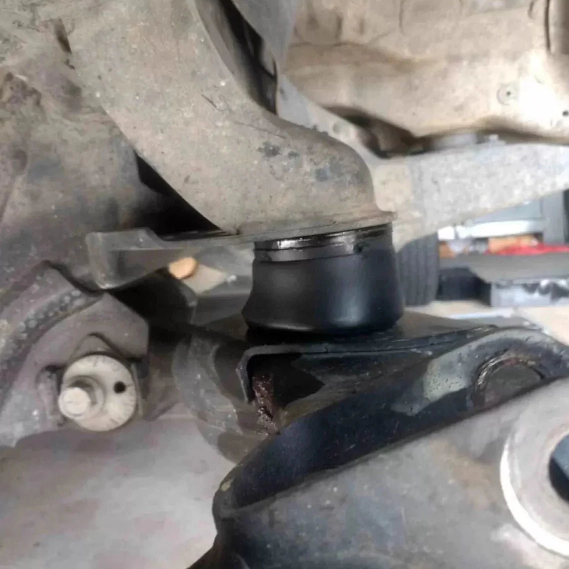 DuroBumps Front Bump Stops for Tacoma (2005-2023) - Image 5