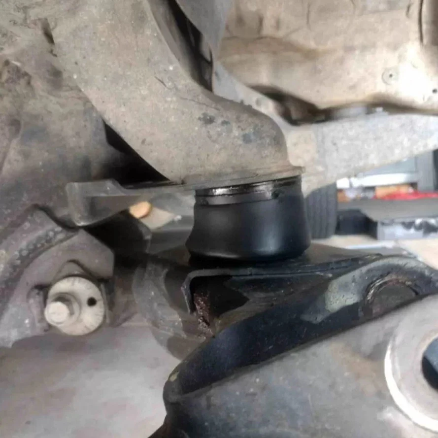 DuroBumps Front Bump Stops for Tacoma (2005-2023) - Image 6