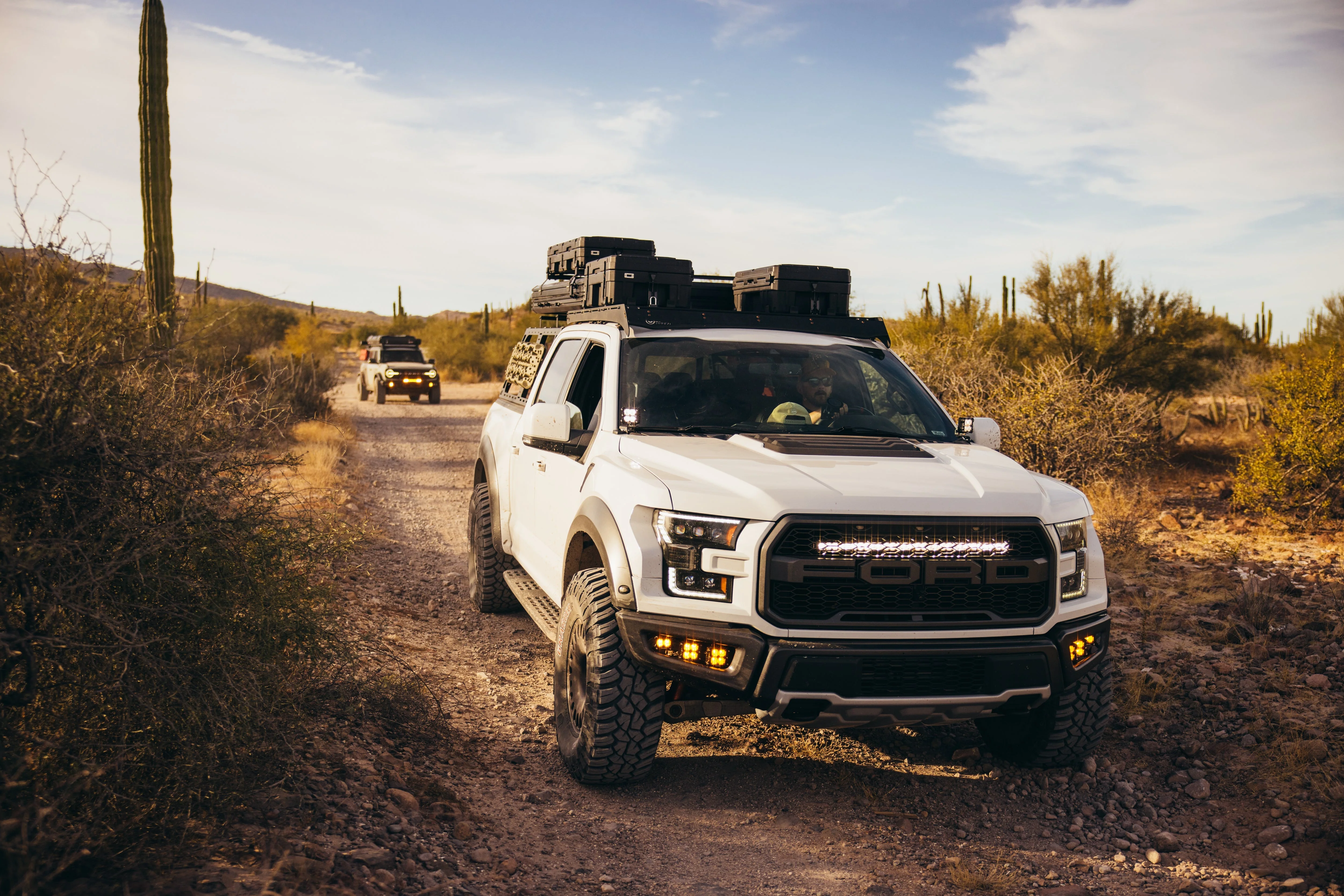 Roam Adventure Co 66L Rugged Mounts - Image 6