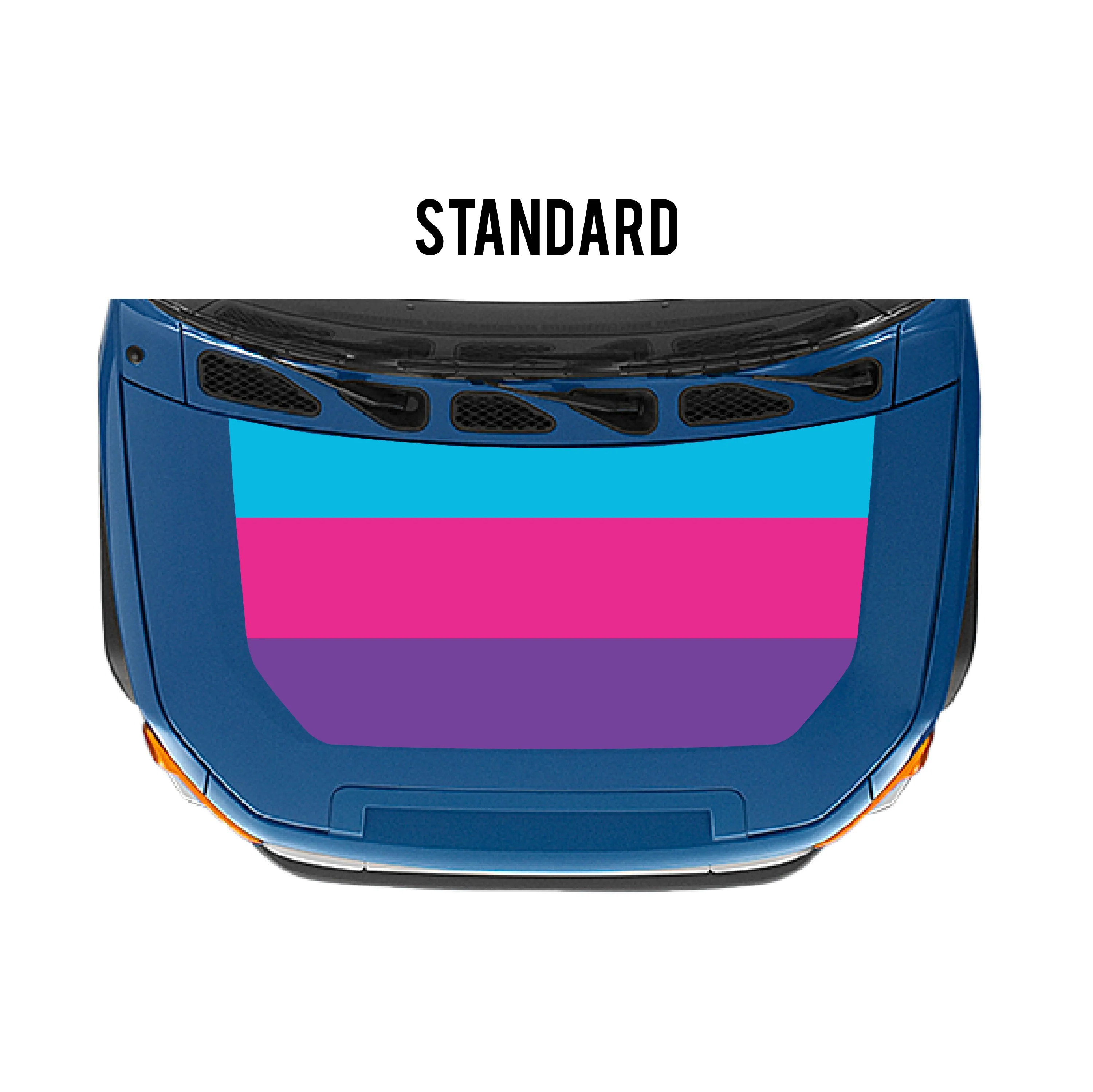 Taco Vinyl Checkered Stripe Kit for  FJ Cruiser (2007-2014) - Image 23