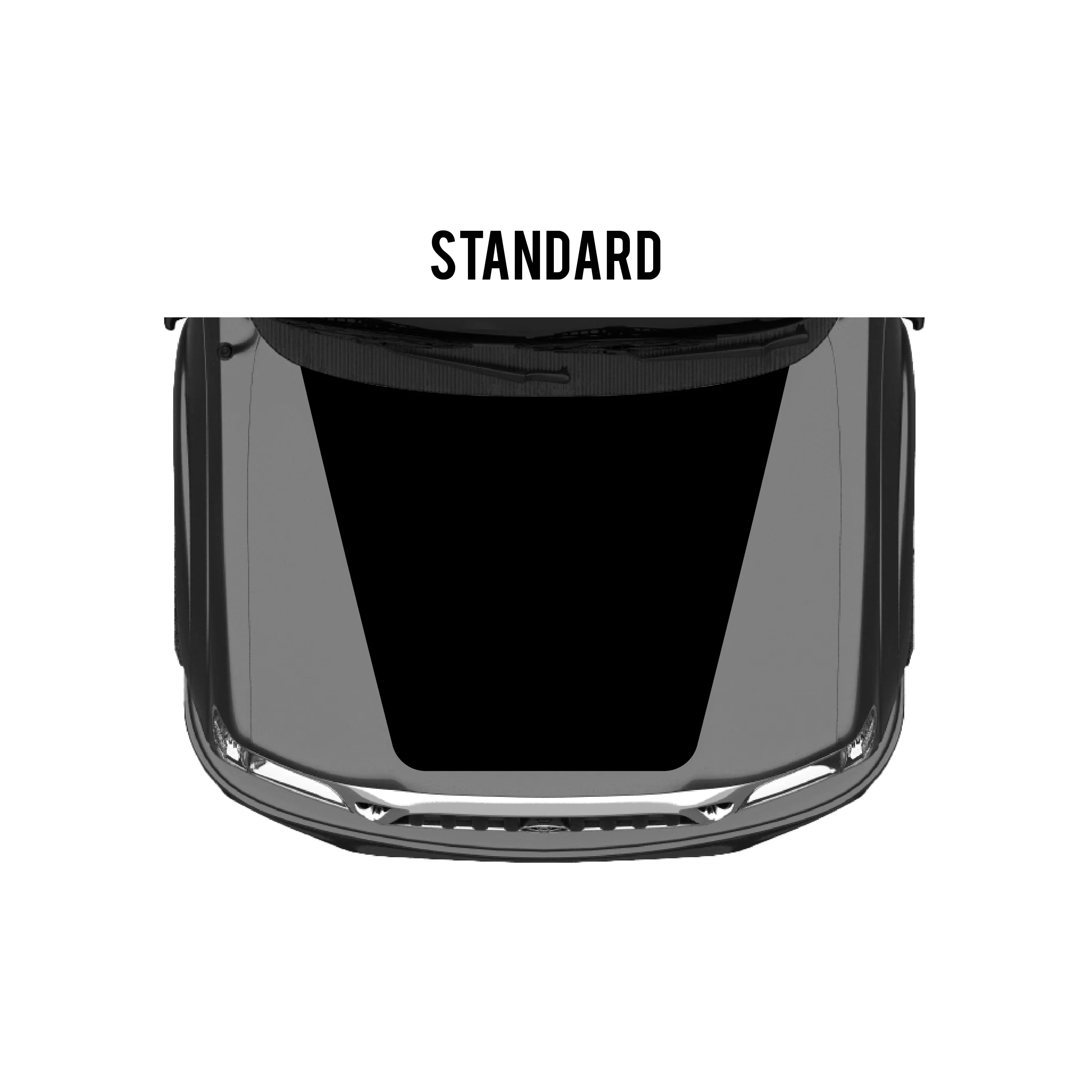 Taco Vinyl Checkered Stripe Kit for Tacoma (2001-2004) - Image 19