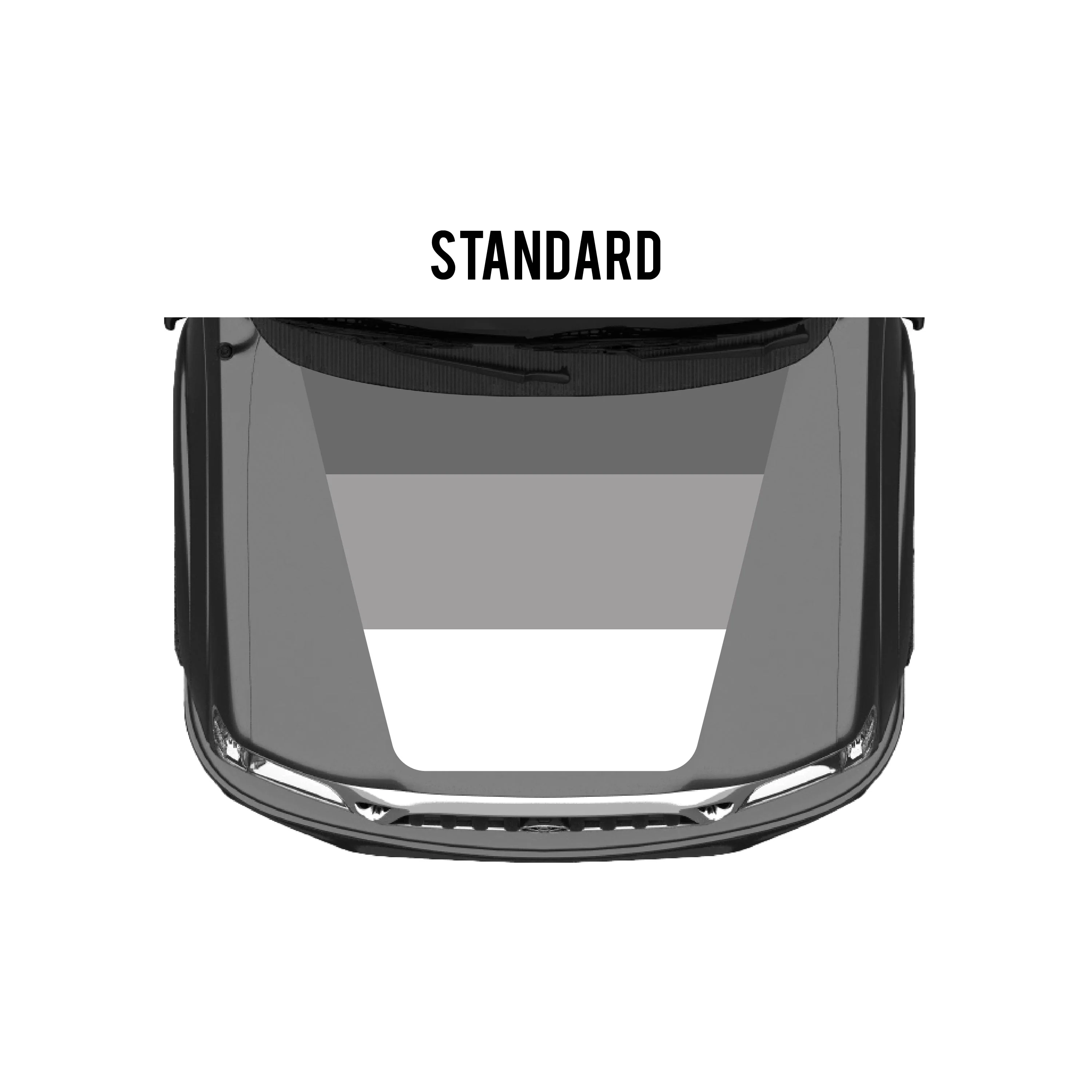 Taco Vinyl Checkered Stripe Kit for Tacoma (2001-2004) - Image 29