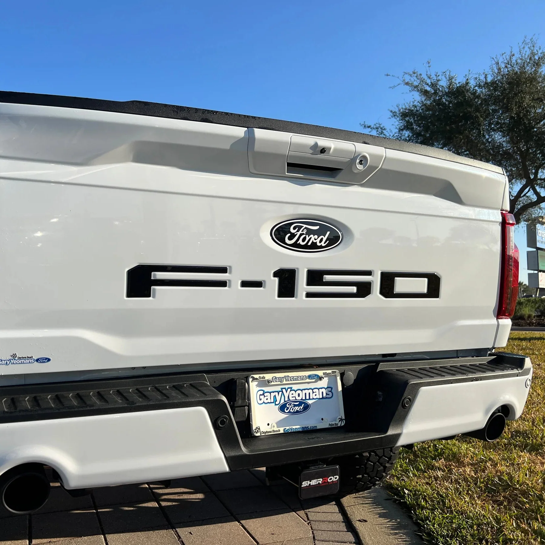 Tufskinz Rear Tailgate Letter Inserts for Ford F-150 (2021-2026) - Image 14